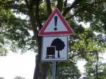auch f�r WoMos wichtig