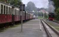 Molli in K�hlungsborn