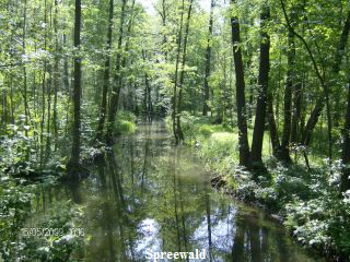Spreewald
