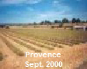Provence
Sept. 2000